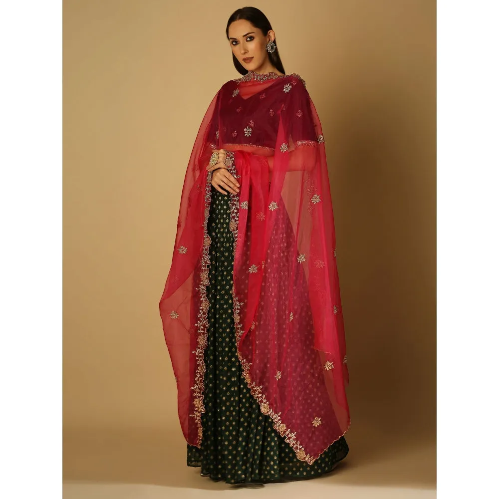 Monk & Mei Roza-Lehenga Blouse Dupatta - Violet, Magenta And Green (Set Of 3)