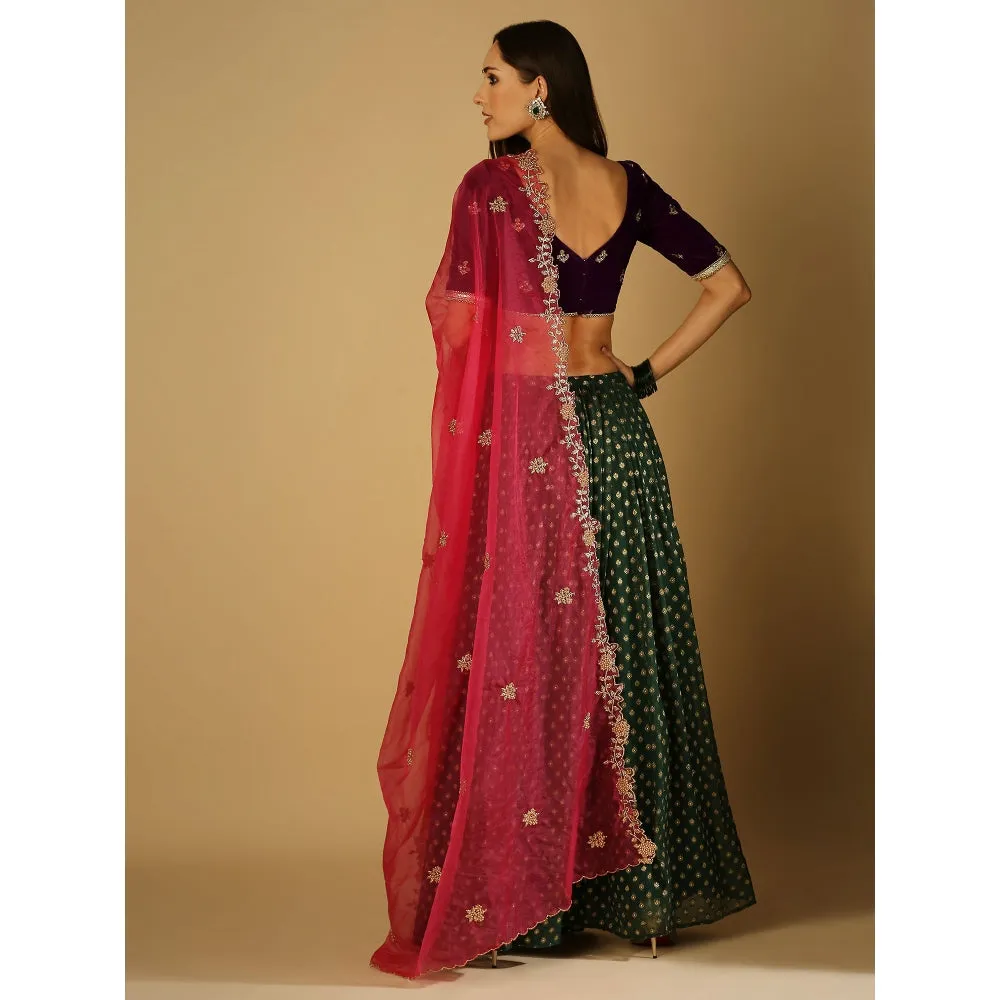 Monk & Mei Roza-Lehenga Blouse Dupatta - Violet, Magenta And Green (Set Of 3)