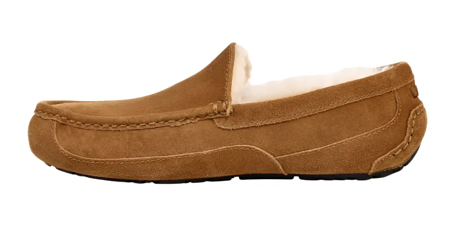 Ugg Mens Slipper Ascot Chestnut