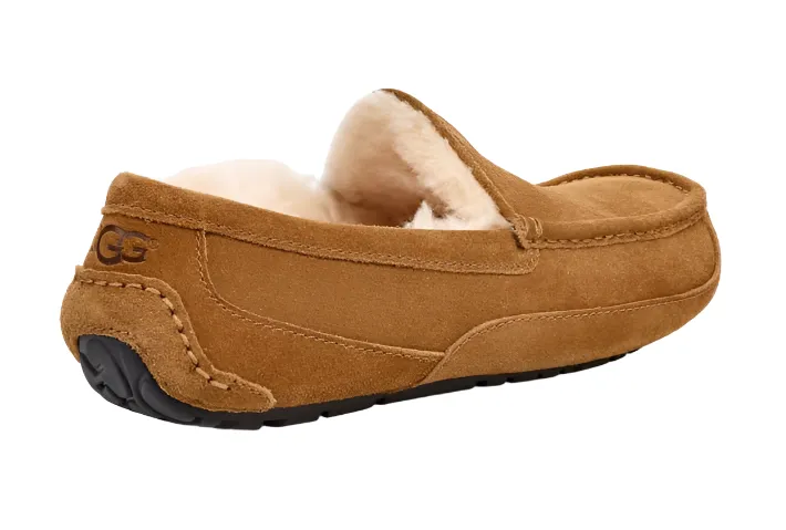 Ugg Mens Slipper Ascot Chestnut